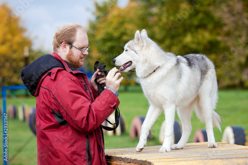 Siberian Husky with a man