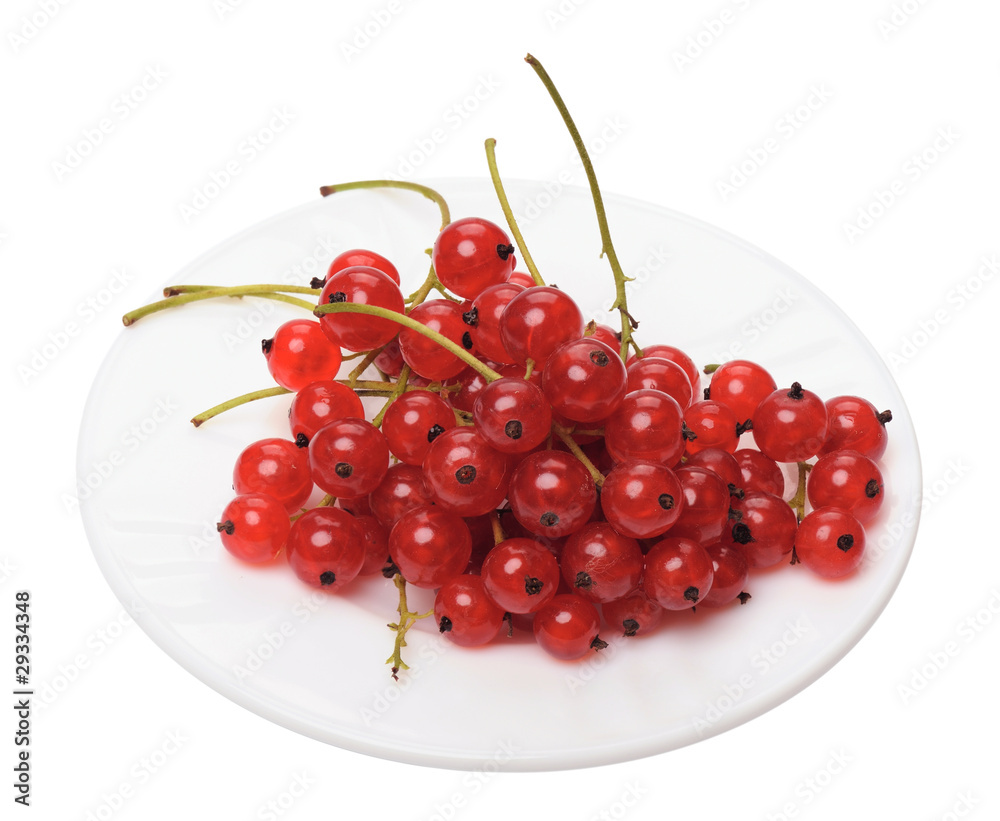 Red currant berries, isolated on a white background