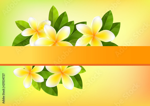 Tropic orange background with frangipani and green leaves