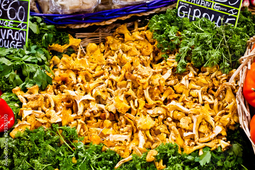 girolles photo