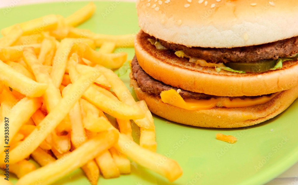 sandwich with fries sandwich with fries