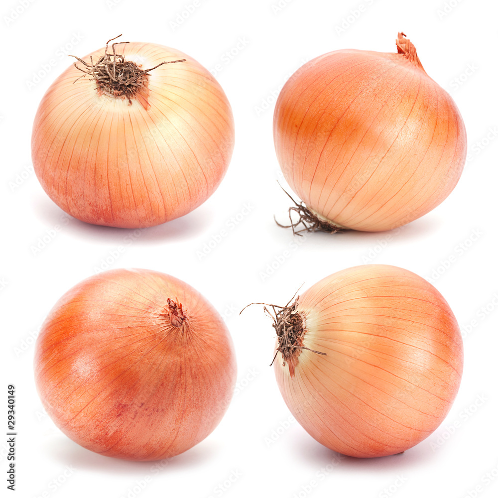 custom made wallpaper toronto digitalOrange onion vegetable
