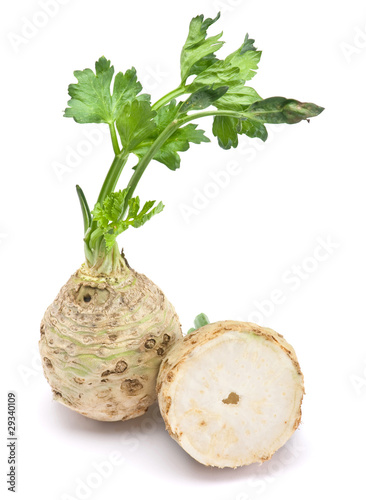 Fresh celery with root