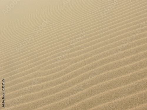 Sahara Sand