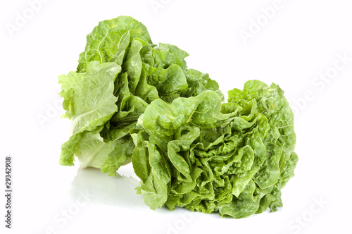 fresh cut lettuce