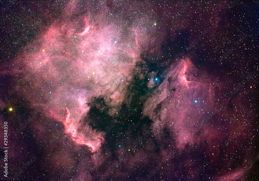 North America nebula (NGC 7000) - obrazy, fototapety, plakaty 