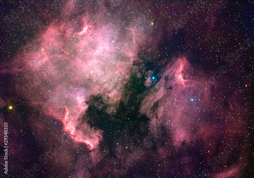 North America nebula (NGC 7000)