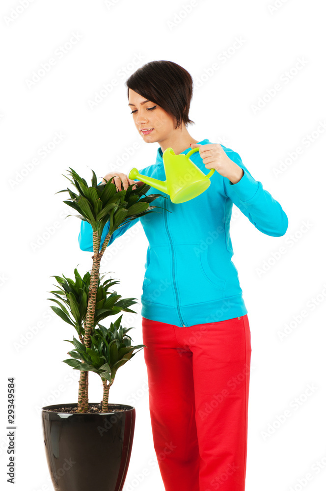 Young woman watering plants isolated on white Young woman watering plants isolated on white