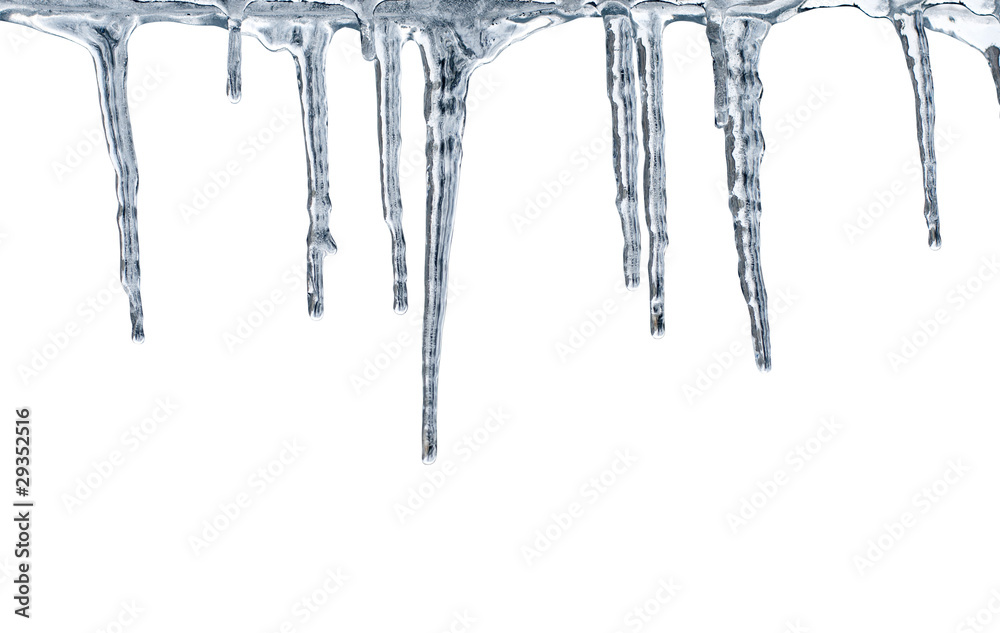 Thawing icicles isolated on white background - obrazy, fototapety, plakaty 