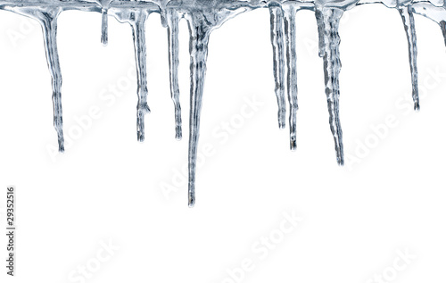 Thawing icicles isolated on white background