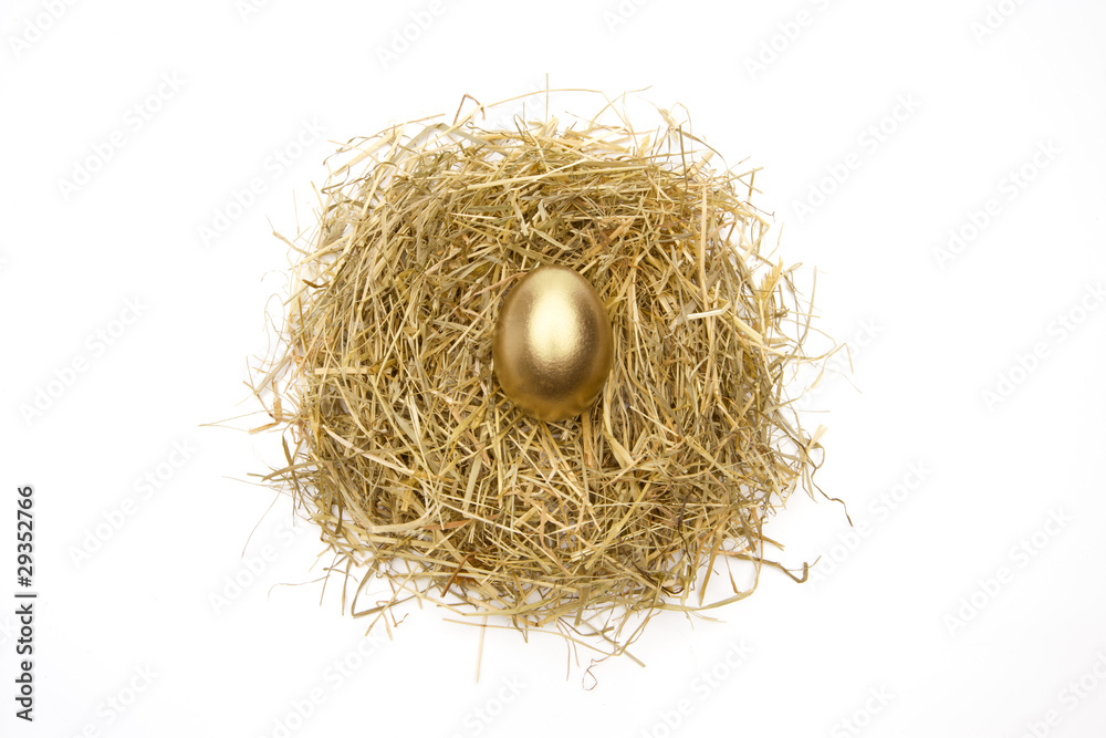 Obraz premium Goldenes Ei im Nest