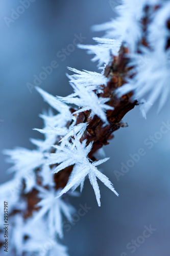 Ice crystals © Arpad
