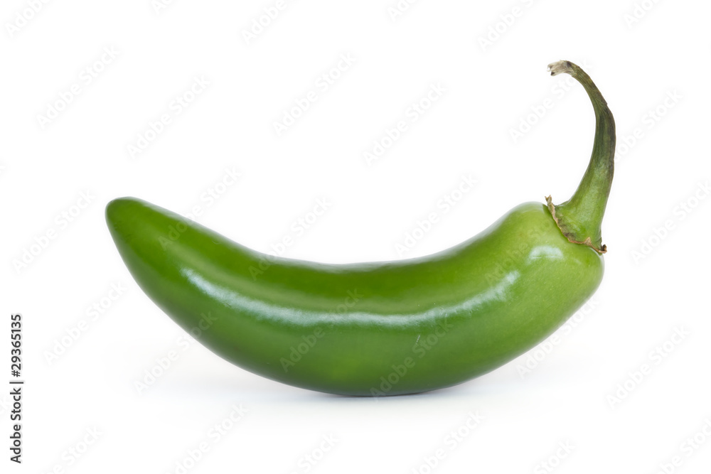 serrano pepper isolated on white