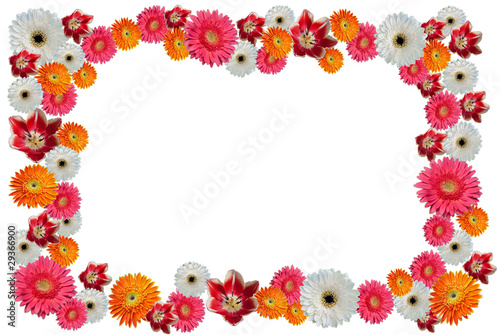 flower photo frame