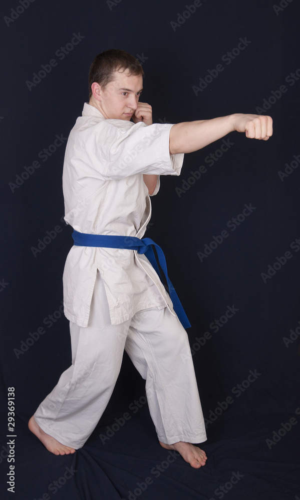 Blow of the karateka