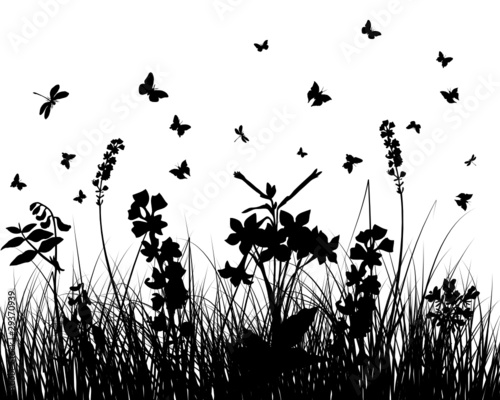 meadow silhouettes © Konovalov Pavel