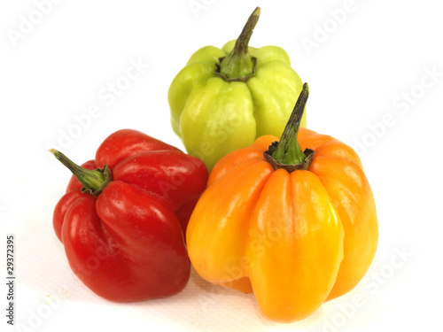 Fotografie Scotch Bonnet Chillies