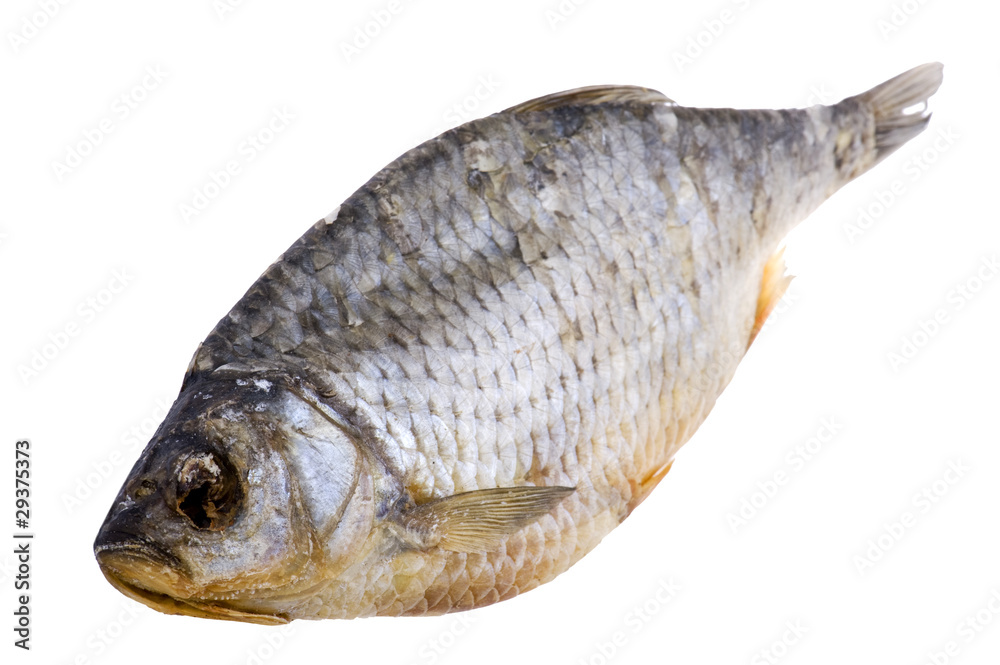 dry fish macro