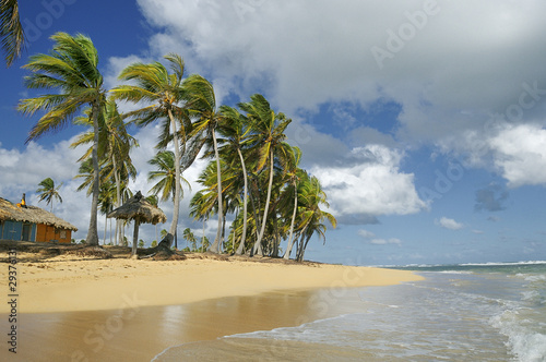 Domincan spirit photo