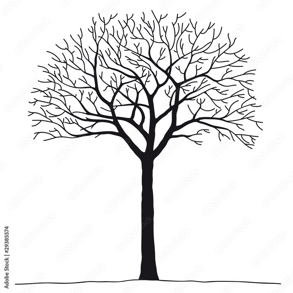 Obraz premium albero spoglio