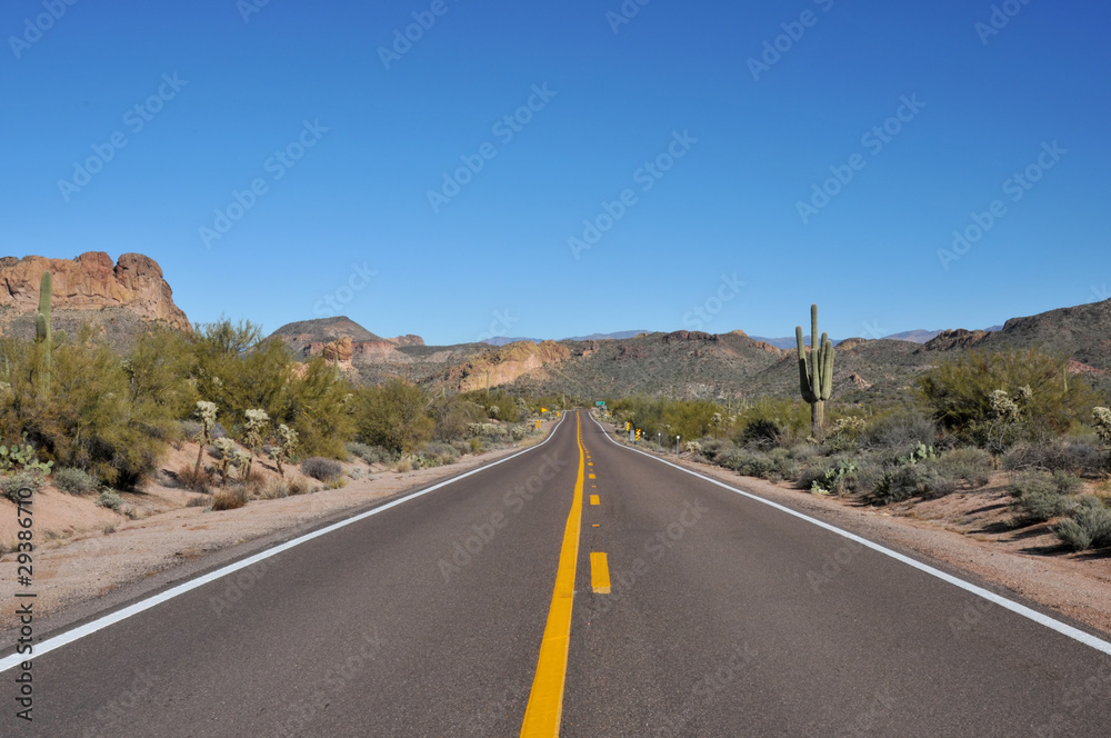 Highway in Arizona Desert