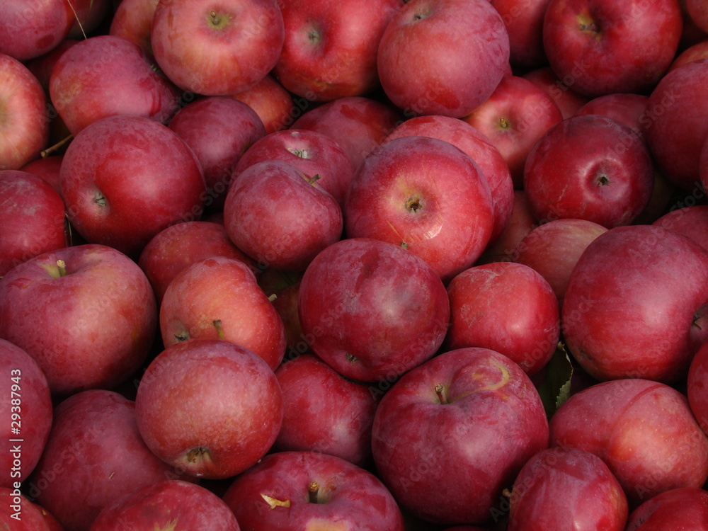 apple apple