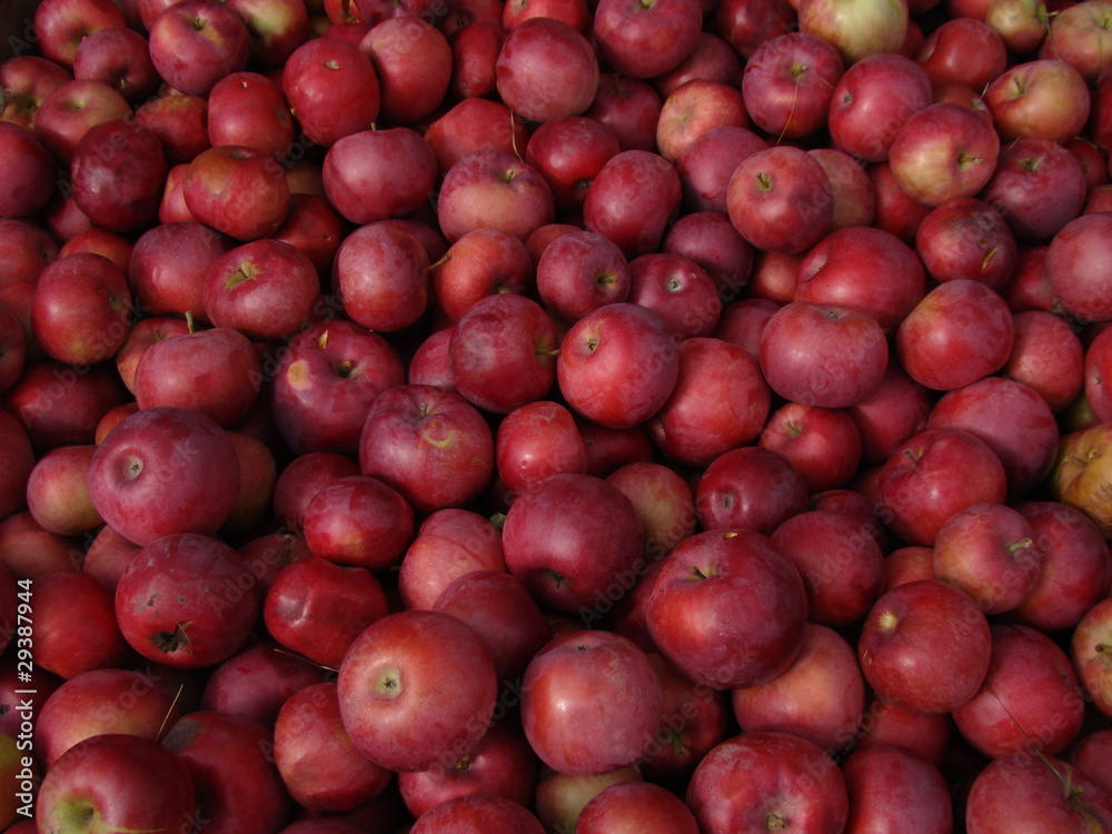 apple apple