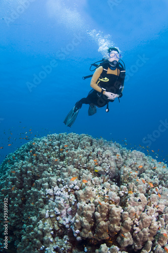 Diver over coral