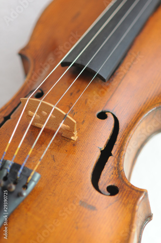 Geige - weisser Hintergrund