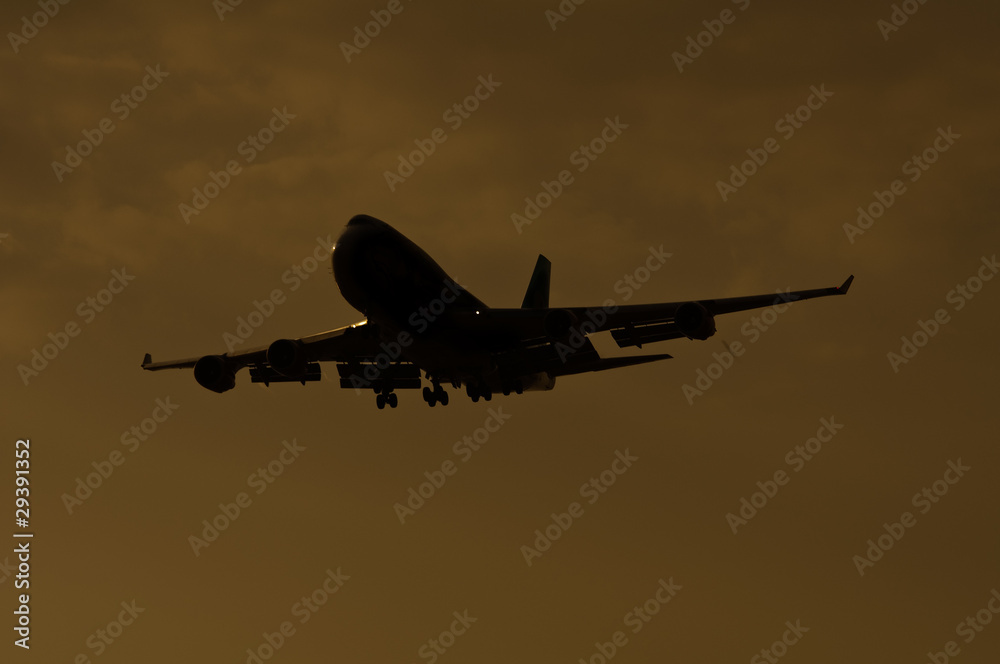 Fototapeta premium Llegada