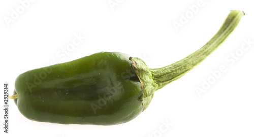 green padron pepper photo