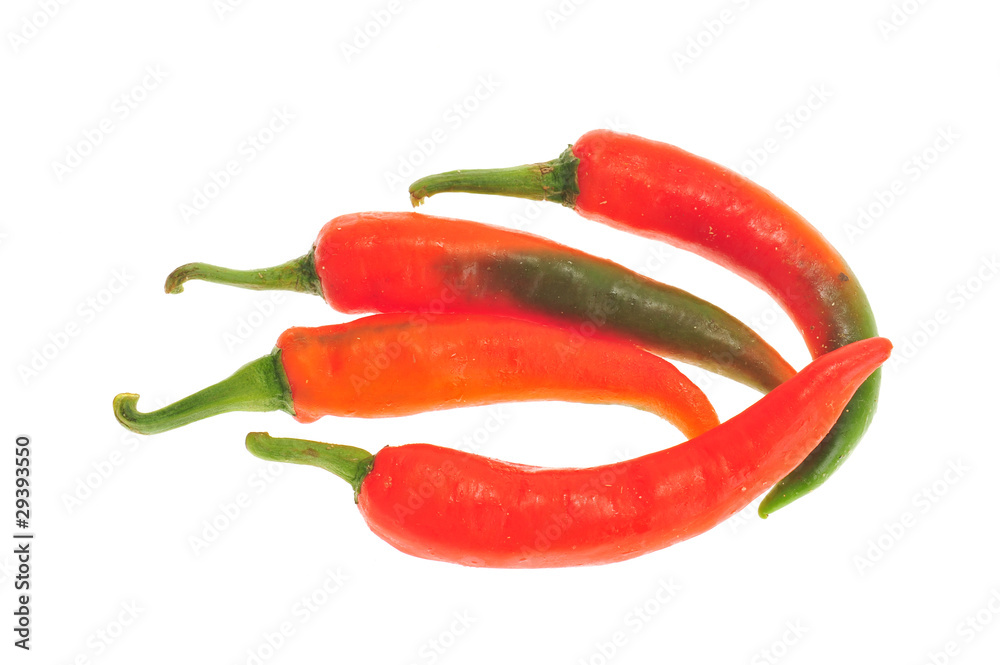 Chili Peppers Arranged On A White Background Chili Peppers Arranged On A White Background