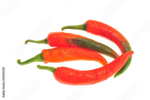 Chili Peppers Arranged On A White Background