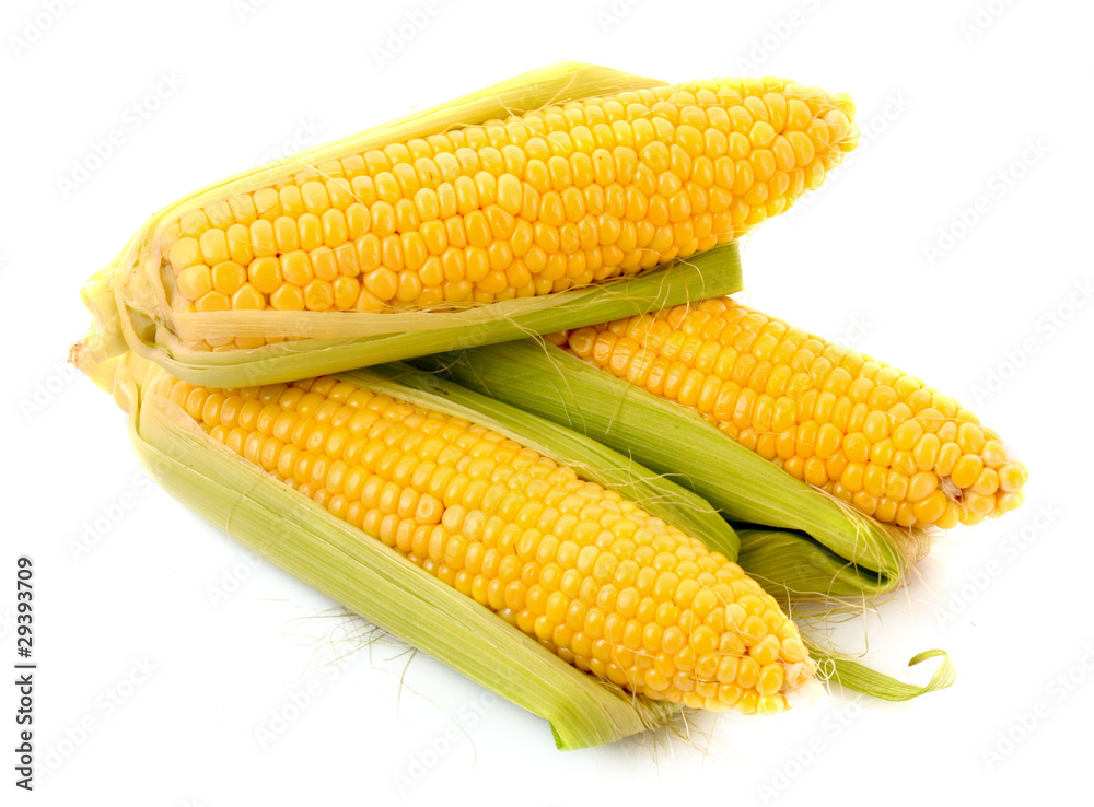 Corn isolated on white Corn isolated on white