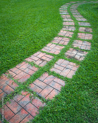 Curved path on a lawn area