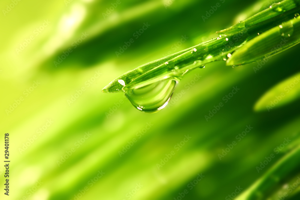 big water drop big water drop