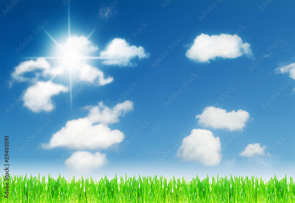 grass and cloudy, sunny sky