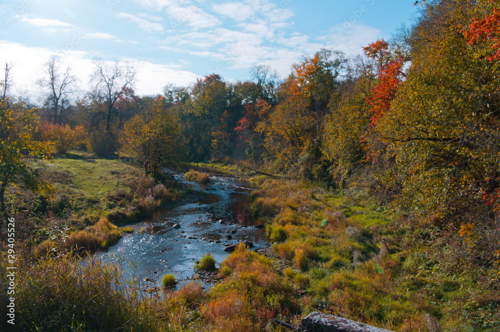 autumn landscape