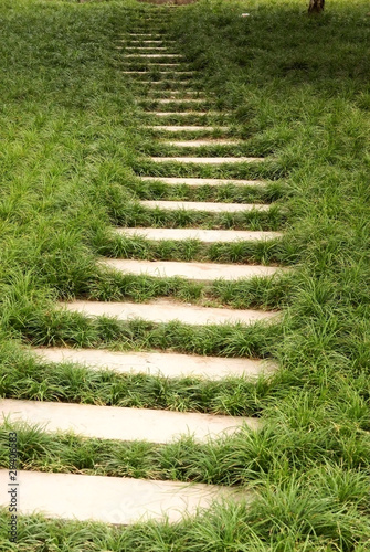 Grass lawn with steps
