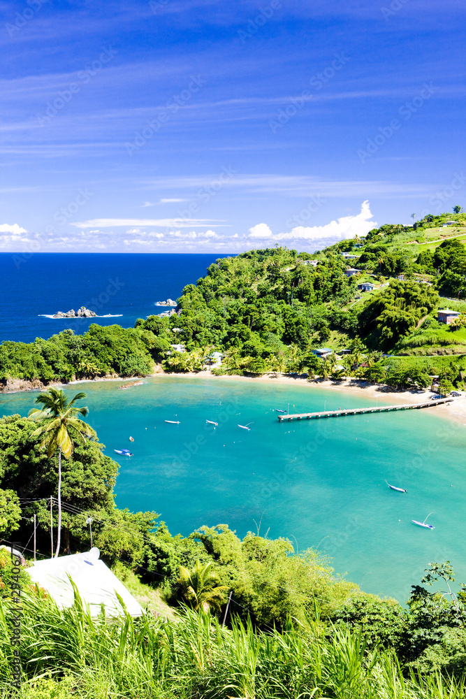 Fototapeta premium Parlatuvier Bay, Tobago