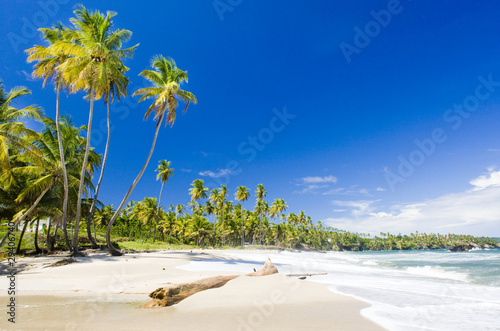 Cumana Bay, Trinidad photo