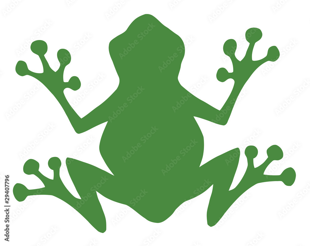 Fototapeta premium Frog Green Silhouette