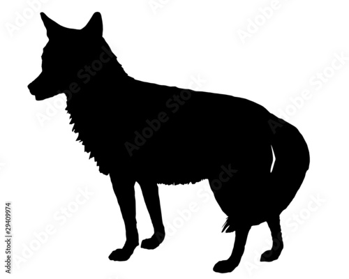 Kojote Silhouette