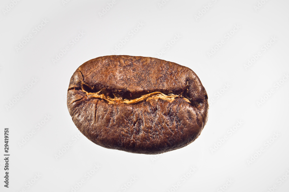 Naklejka premium Coffee Grain