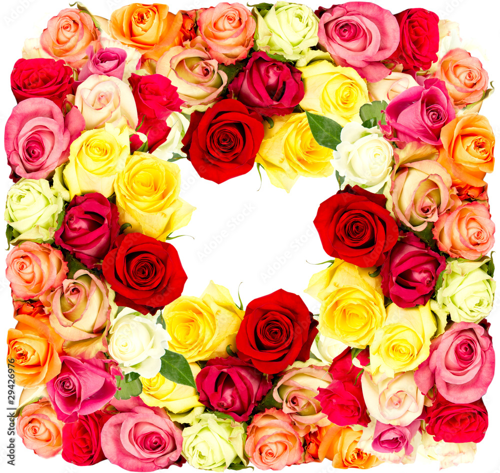 colorful flowers frame, roses colorful flowers frame, roses