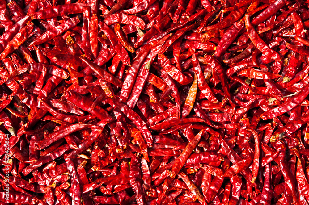 Red chili in the sun,Thailand