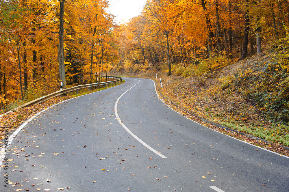 Fototapeta premium Straße durch herbstlichen Wald