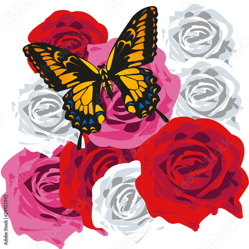 farfalla