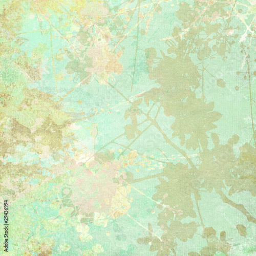 Valokuva Flower Silhouette Background