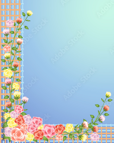 rose trellis